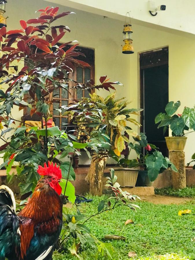 Sigiri Lakshan Home Stay Sigiriya Buitenkant foto