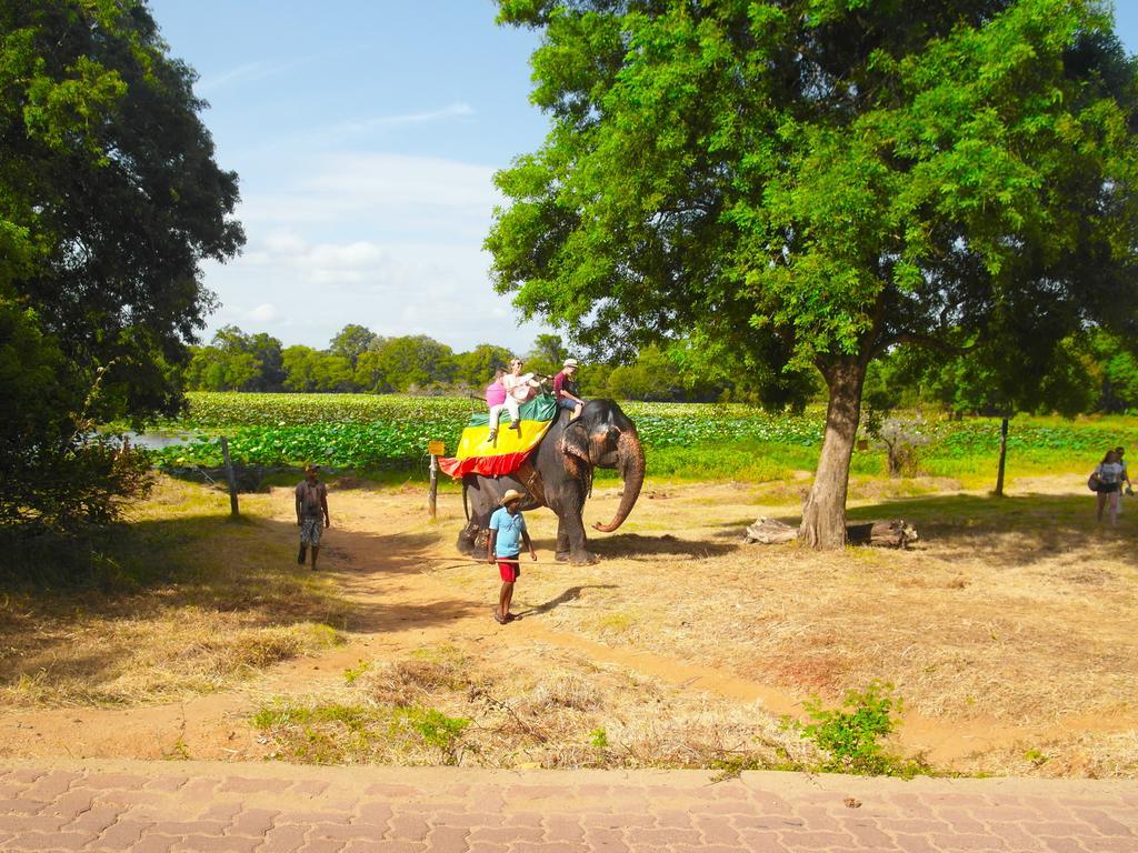 Sigiri Lakshan Home Stay Sigiriya Buitenkant foto